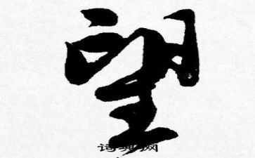 我的愿望小作文400字8篇