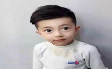 小王子心得体会参考8篇