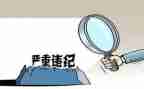 违纪违法案件以案心得体会6篇