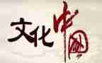 文化的作文最新8篇