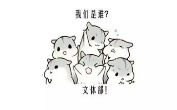 文体部2024年工作计划参考7篇