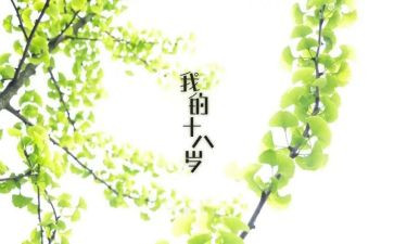 我的十八岁作文5篇