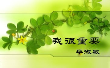 我很重要毕淑敏读后感5篇