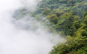雾霾心得体会6篇