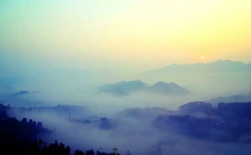 雾读后感500字精选7篇