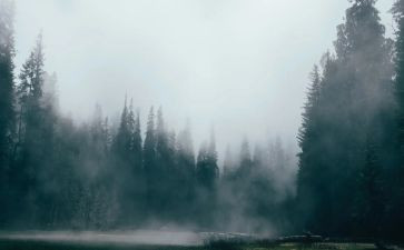 大班科学雾和霾教案反思7篇