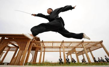 武术操教案教案6篇