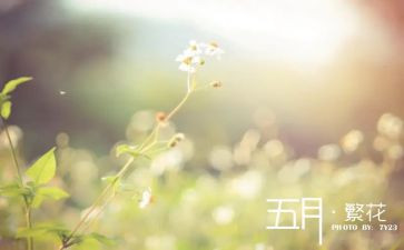2024五月份工作总结通用8篇