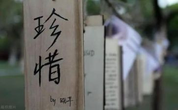 珍惜粮食从我做起的演讲稿8篇