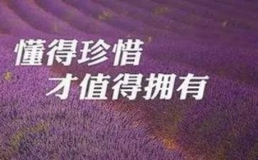 珍惜的心得体会7篇