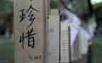 珍惜粮食从我做起的演讲稿8篇