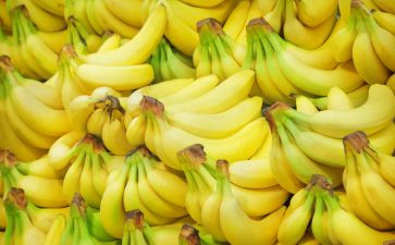 吃香蕉作文300字6篇