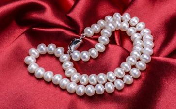 冰项链的读后感500字7篇