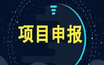 项目办心得体会6篇