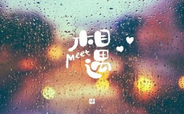 与你相遇的作文8篇