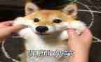 有关笑的故事作文6篇