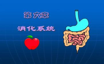 消化内科心得体会6篇