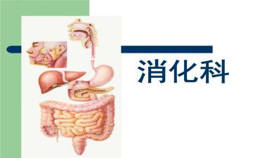 消化护士述职报告范文5篇