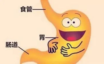 消化道内科心得体会5篇