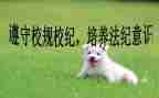 学校纪检室工作计划7篇