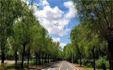 校内听课心得体会5篇