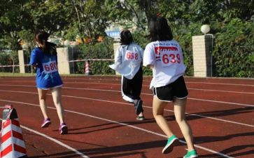 参加校运会心得体会6篇