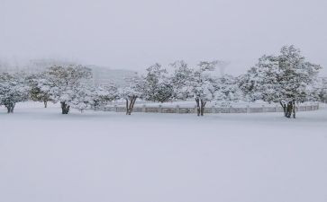 下雪了作文参考6篇