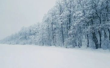 下雪了作文5篇