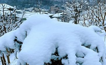 下雪喽教案优质5篇