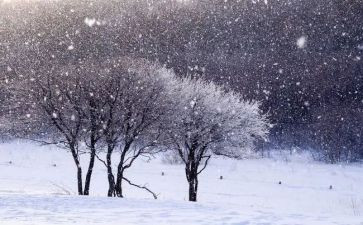 下雪喽教案8篇