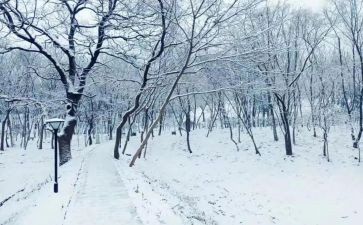 下雪了作文优质7篇