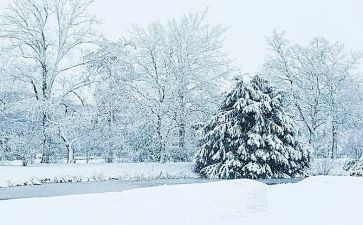 下雪天教案模板6篇