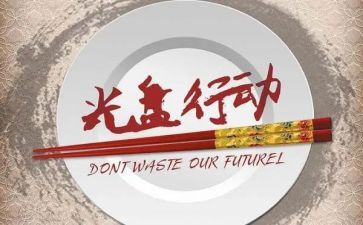 531行动心得体会7篇