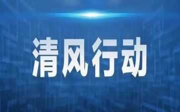 专项整治行动自查报告5篇