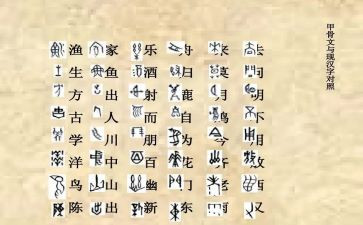 形近字的教学反思模板7篇