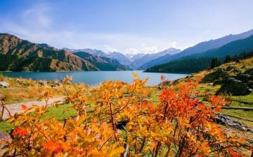 学习新疆座谈会心得体会8篇