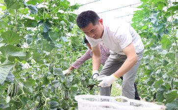 村新农村建设工作总结5篇