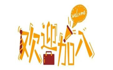 新人入职公司心得体会范文5篇