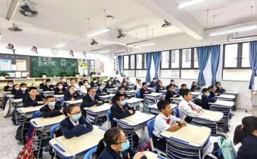 选修8教案7篇