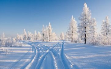 《雪》读后感100字参考6篇