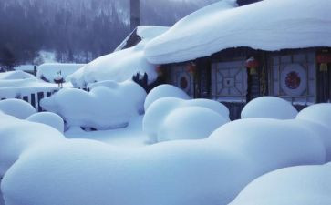 学生除雪心得体会5篇