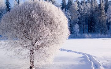 除雪志愿活动心得体会精选6篇