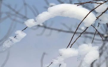 除雪志愿者的心得推荐8篇