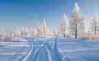 《雪》读后感100字参考6篇
