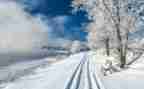《雪》读后感100字最新7篇
