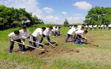 学农体会心得体会模板8篇