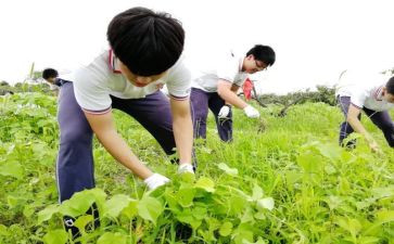 学农体会心得体会5篇