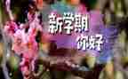 2024小班学期工作总结优质7篇