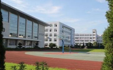 好学校坏学校心得体会5篇