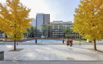 学校军训心得体会总结6篇